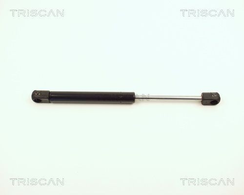TRISCAN 8710 12206 Heckklappendämpfer 280mm