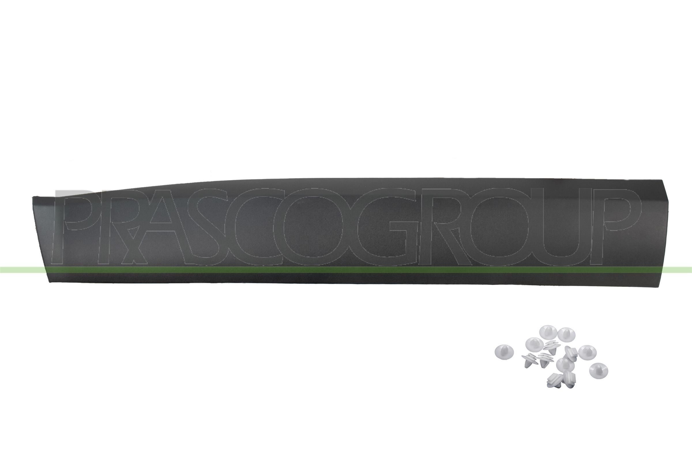 PRASCO IZ0413003: Калник отпред отдясно