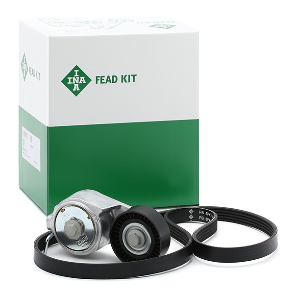 INA 529 0013 10: Poly V-riem set