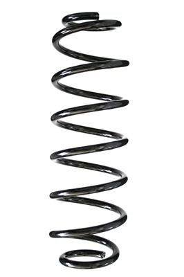 SPIDAN 86479: Ressort de suspension Essieu arrière