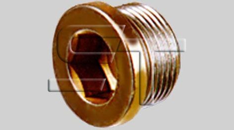 TEMPLIN 06.070.1593.020: Verschlußschraube