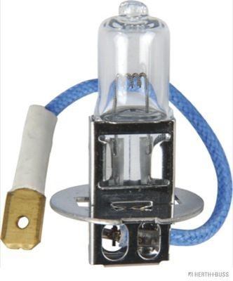 HERTH+BUSS ELPARTS 89901095: Gloeilamp, werklamp
