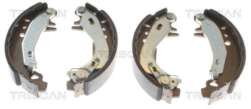 TRISCAN 8100 28055: Jeu de mâchoires de frein avec levier