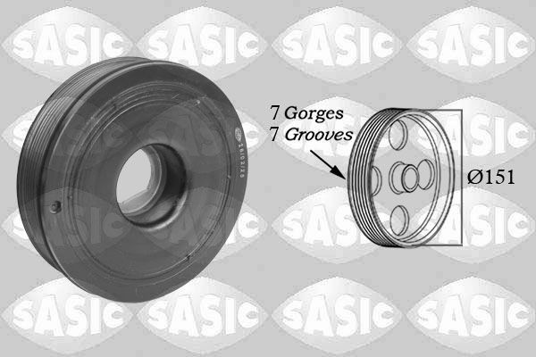 SASIC 2154018: Polia, cambota
