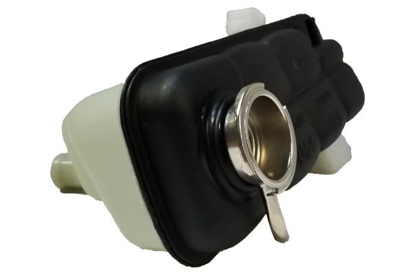 BUGIAD BSP20655: Pollenfilter Pollenfilter