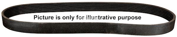 JP GROUP 1118113009: Multiriem 1033mm, Ribbenaantal: 6, QH