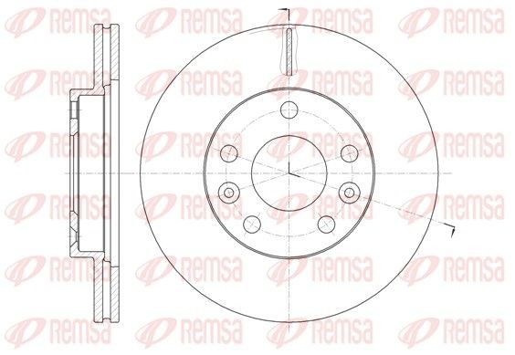 REMSA 61478.10: Bremseskive foraksel, Ø: 269mm, ventileret, Ø: 269mm
