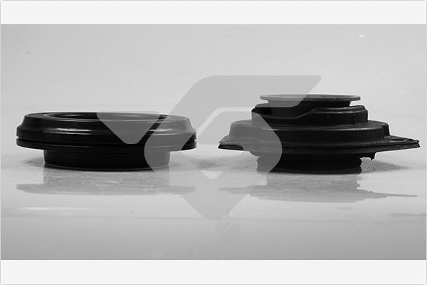 HUTCHINSON KS 202: Σετ επισκευής, βάση στήριξης γόνατου ανάρτησης