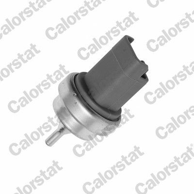 CALORSTAT by Vernet WS3015: Senzor, temperatura lichid de racire 20 mm
