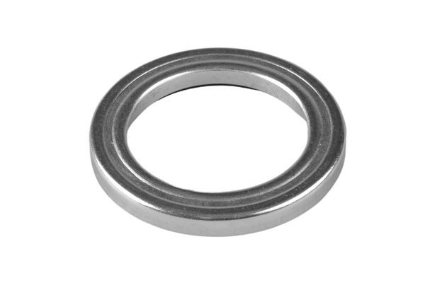 TEDGUM 00217010: Ρουλεμάν, βάση στήριξης γόνατου ανάρτησης