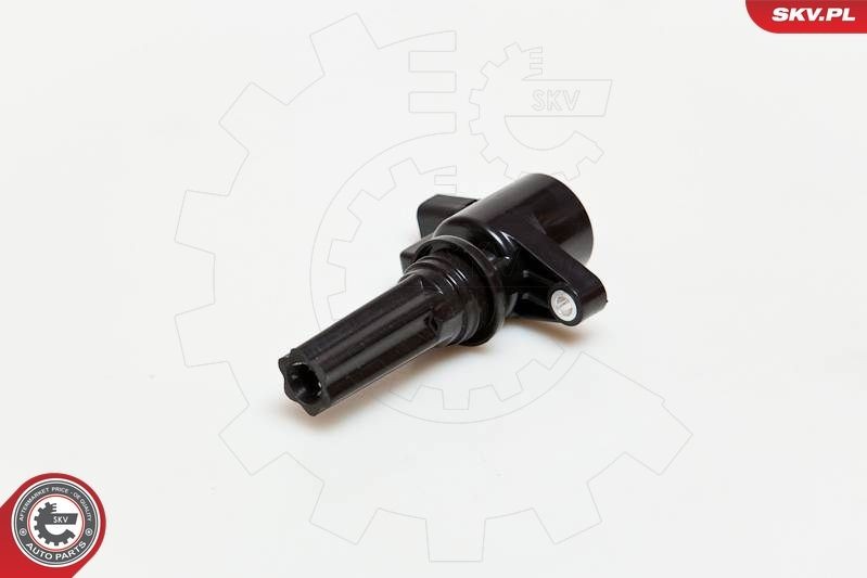 ESEN SKV 03SKV181: Sytytyspuola 12V, 2-napaa