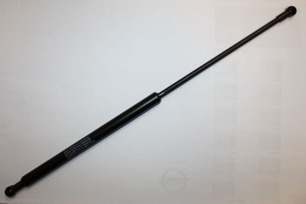 AUTOMEGA 100080510 Heckklappendämpfer