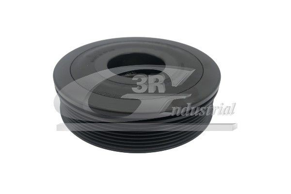 3RG 10658: Polia, cambota