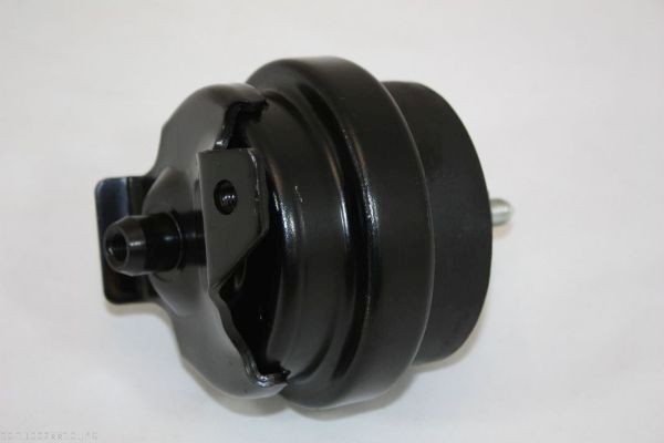 AUTOMEGA 120015110: Bremseskive Ø: 256mm, fuldstændigt, Ø: 256mm