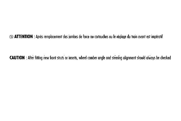 RECORD FRANCE 333981: Støtdemper MAXIGAZ framaksel, gasstrykk, Fjærbein