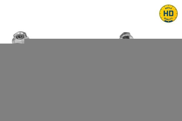 MEYLE 340 160 0106: Sprężyna gazowa, tylna szyba ORIGINAL Quality