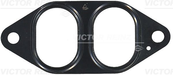 REINZ 71-36086-00: Tihend, väljalaskekollektor