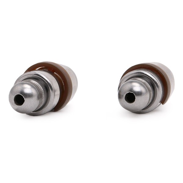 INA 420 0222 10: Poussoir hydraulique