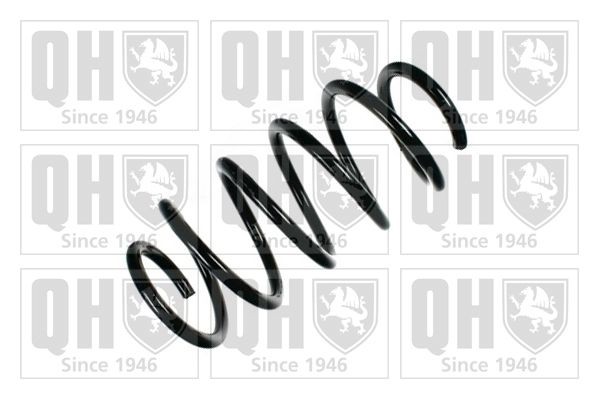 QUINTON HAZELL QCS5388: Chassisveer Vooras