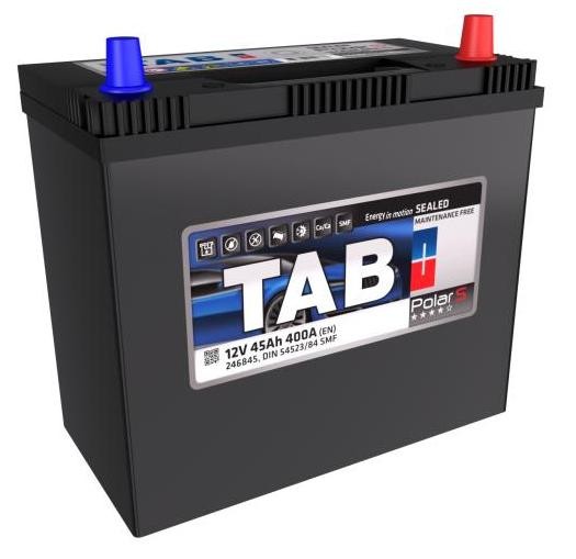 TAB 246845: Batterie Polar