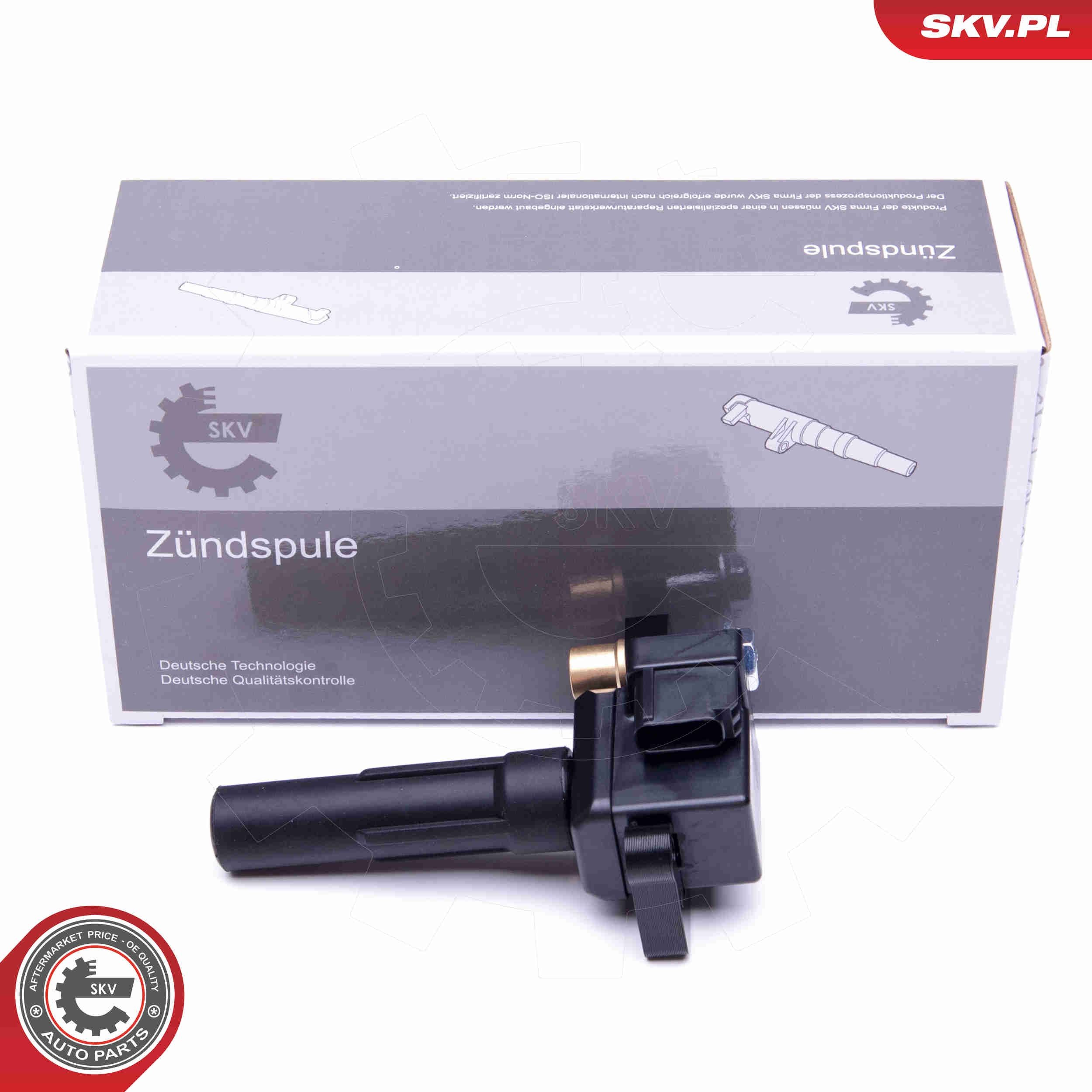 ESEN SKV 03SKV339: Süütepool