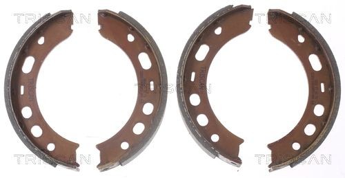 TRISCAN 8100 20001: Zestaw szczęk hamulcowych, hamulec postojowy