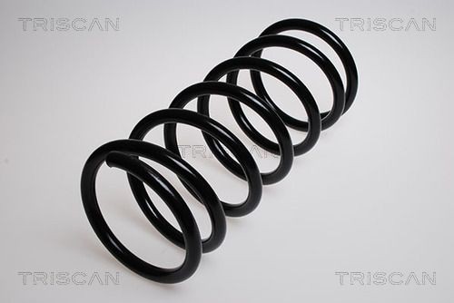 TRISCAN 8750 2869: Chassisveer Vooras