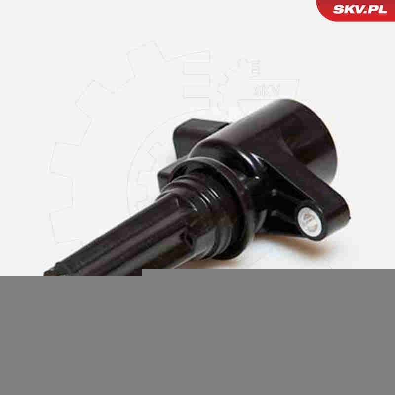 ESEN SKV 03SKV181: Bobine 12V, 2-polig