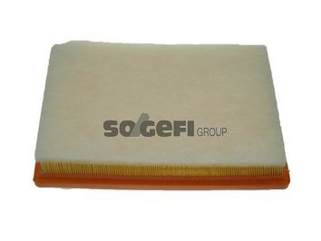 FRAM CA10294: Luchtfilter