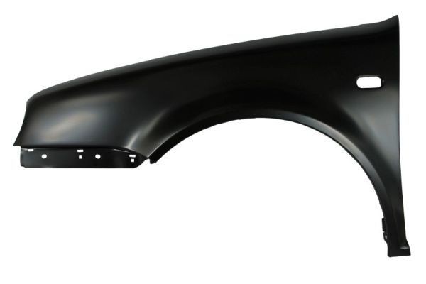 BLIC 6504-04-9523311Y: Parafango anteriore Sx