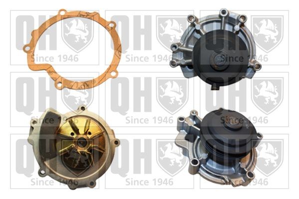 QUINTON HAZELL QCP3376: Bomba de agua con juntas
