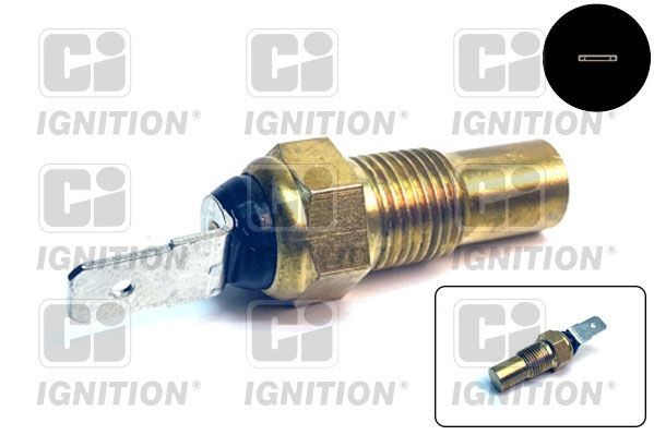 QUINTON HAZELL XTT84: Senzor, temperatura lichid de racire 1/8" BSPT, CI