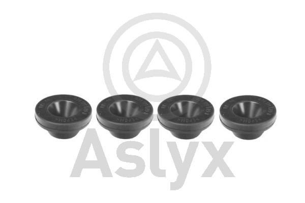 Aslyx AS-507012: Spilvens, Gaisa filtrs