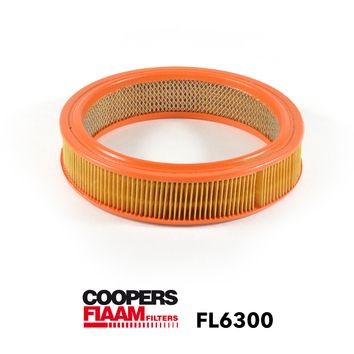 COOPERSFIAAM FILTERS FL6300: Luchtfilter