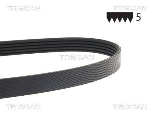 TRISCAN 8640 501113: Curea transmisie cu caneluri 1113mm, Numar nervuri: 5