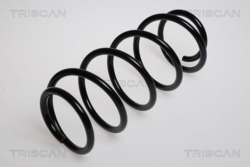 TRISCAN 8750 24007: Chassisveer Vooras