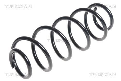 TRISCAN 8750 29341: Chassisveer Achteras