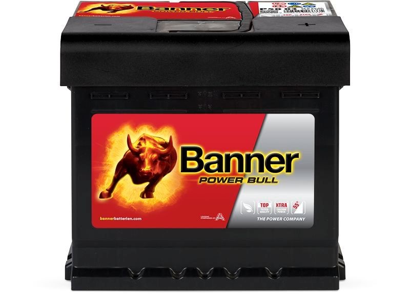 BANNER 013550030101: Akumulator Power Bull