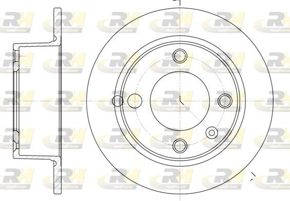 ROADHOUSE 6023.00: Disco de freno Eje trasero, Ø: 224mm, macizo, Ø: 224mm