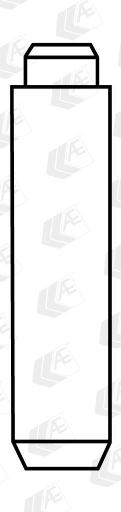 AE VAG96145: Guia da válvula