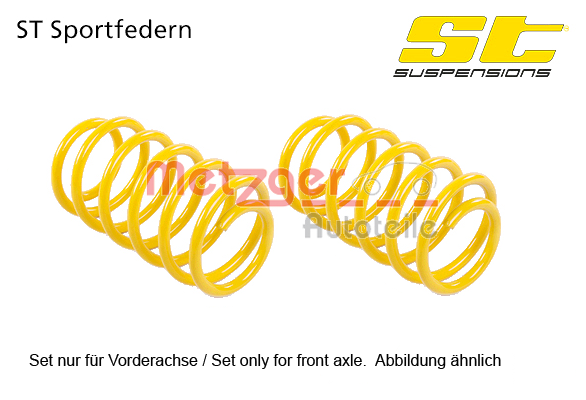 METZGER 128220205: Σετ καροσσερί, ελατήρια