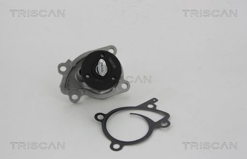 TRISCAN 8600 10071: Bomba de água
