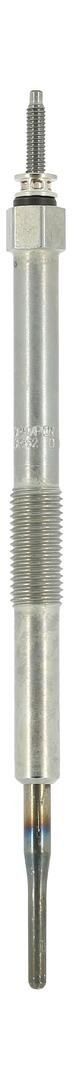 CHAMPION CH252: Candeletta