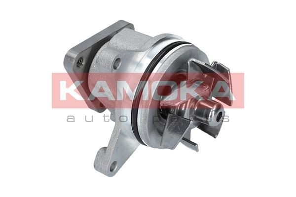 KAMOKA T0136: Pompa acqua