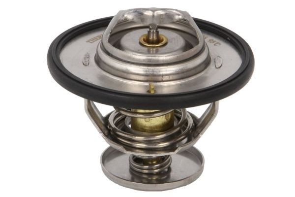 THERMOTEC D2Y003TT: Thermostat d'eau 95°C, avec joint d'étanchéite