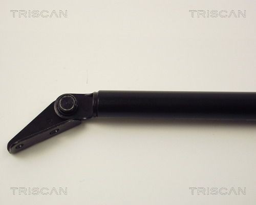 TRISCAN 8105 3205: Holder, bremseslange