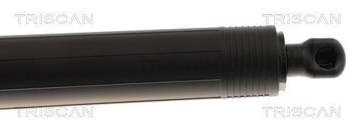 TRISCAN 8120 23101: Brzdový kotúč Ø: 278mm, s vnútorným chladením, Ø: 278mm