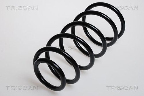 TRISCAN 8750 29022: Chassisveer Vooras