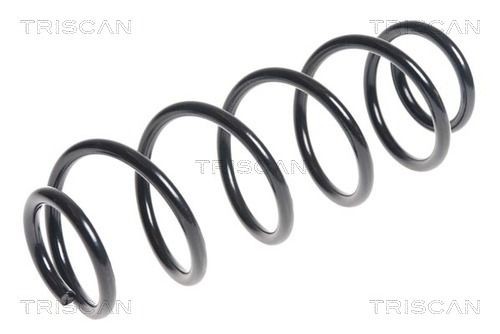 TRISCAN 8750 29342: Chassisveer Achteras
