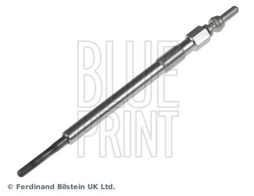 BLUE PRINT ADA101805: Candeletta